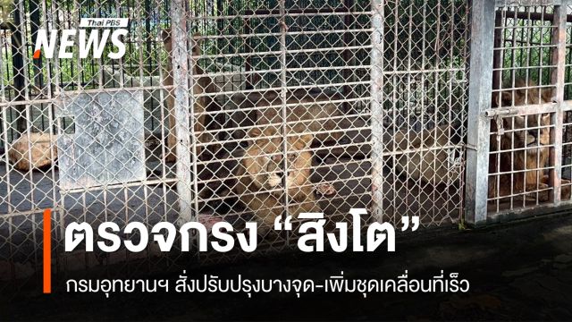 กรมอุทยานฯ ตรวจกรงสิงโต สั่งปรับปรุงบางจุด-เพิ่มชุดเคลื่อนที่เร็ว
