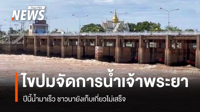 ไขปมจัดการน้ำเจ้าพระยา ปีนี้น้ำมาเร็ว ชาวนายังเก็บเกี่ยวไม่เสร็จ