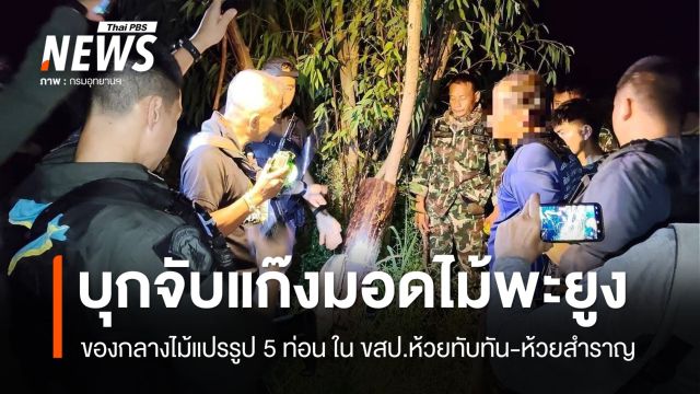 บุกจับแก๊งมอดไม้พะยูง ขสป.ห้วยทับทัน​-ห้วยสำราญ