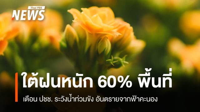 สภาพอากาศวันนี้ ภาคใต้ฝนฟ้าคะนอง 60% พื้นที่ มีฝนตกหนักบางแห่ง