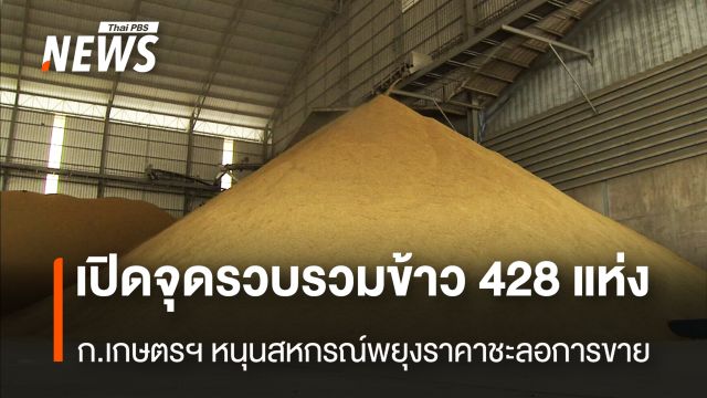 เปิดจุดรวบรวมข้าว 428 แห่ง ก.เกษตรฯหนุนสหกรณ์พยุงราคาชะลอการขาย