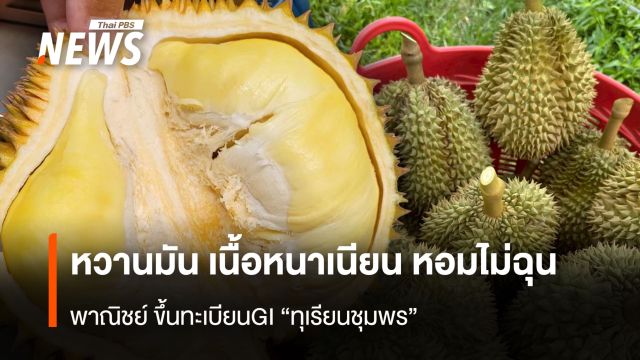  หวานมัน เนื้อหนาเนียน หอมไม่ฉุน พาณิชย์ ขึ้นทะเบียนGI “ทุเรียนชุมพร”