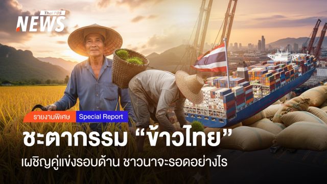 ชะตากรรม "ข้าวไทย" เผชิญคู่แข่งรอบด้าน ชาวนาจะรอดอย่างไร