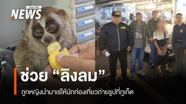 จับหญิงนำ “ลิงลม” เร่ให้นักท่องเที่ยวถ่ายรูปกลางตลาดถนนคนเดิน