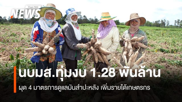 นบมส.ทุ่มงบ 1.28 พันล้าน ดูแลมันสำปะหลัง เพิ่มรายได้เกษตรกร