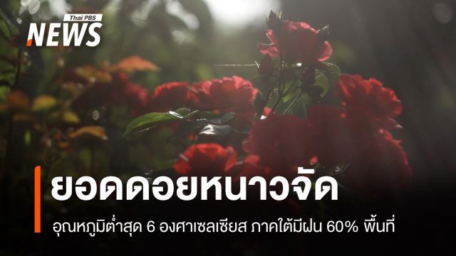 สภาพอากาศวันนี้ ยอดดอยหนาวจัด ต่ำสุด 6 องศาฯ ใต้ฝนหนัก 60%