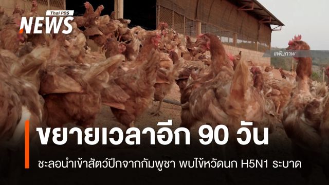 ชะลอนำเข้าสัตว์ปีก "ไก่-เป็ด-ห่าน" กัมพูชา พบไข้หวัดนก H5N1 ระบาด