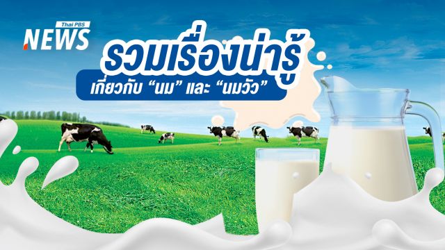 "แพ้นม" หรือ "ย่อยแลคโตส" ไม่ดี? รวมเรื่องน่ารู้เกี่ยวกับ "นมวัว"  