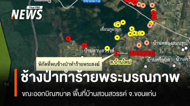 ช้างป่าทำร้ายพระมรณภาพขณะออกบิณฑบาต - พบปีงบฯ 68 เสียชีวิต 30 คน