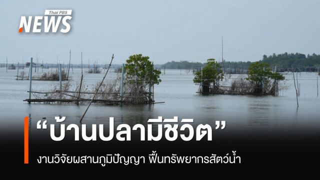 "บ้านปลามีชีวิต" งานวิจัยผสานภูมิปัญญา ฟื้นทรัพยากรสัตว์น้ำทะเลสาบสงขลา