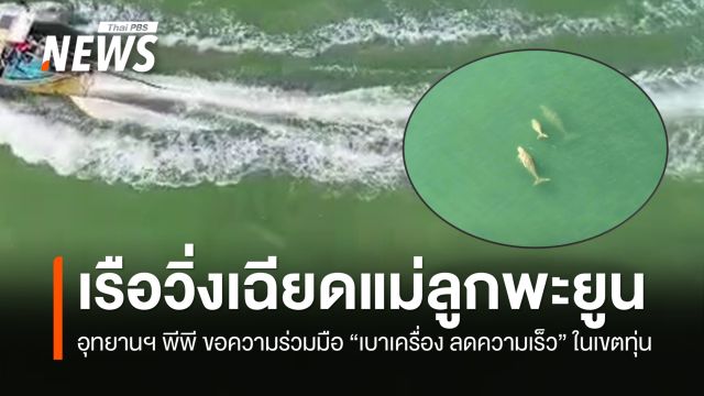 โดรนจับภาพเรือท่องเที่ยวเฉียด "แม่ลูกพะยูน" บริเวณอ่าวทึง จ.กระบี่ 
