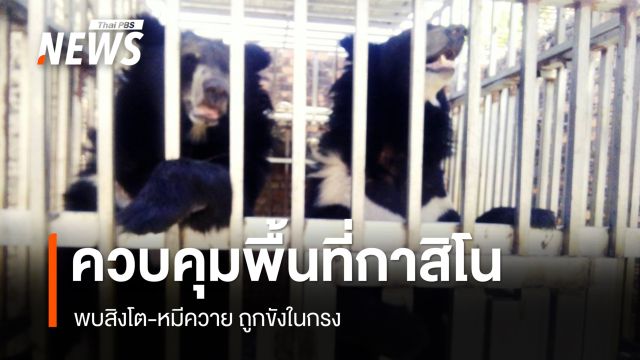 ฉก.นย.ตราดเข้าคุมพื้นที่บ่อนกาสิโนชายแดนไทย-กัมพูชา พบสิงโต-หมีควาย ถูกขังในกรง