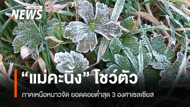 สภาพอากาศวันนี้ เหนือหนาวจัด ยอดดอยต่ำสุด 3 องศาฯ มีแม่คะนิ้งบางแห่ง