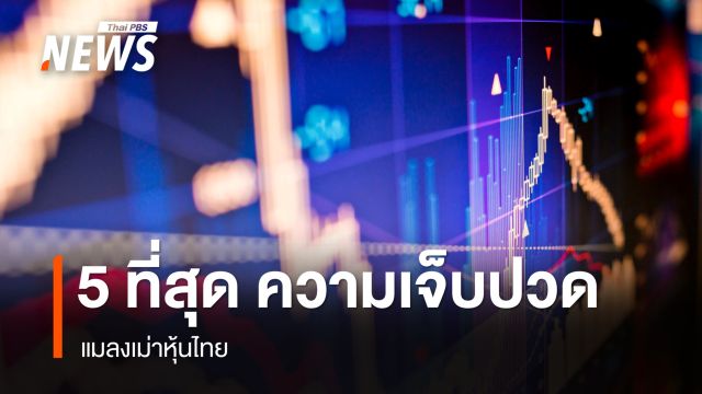 5 ที่สุด ความเจ็บปวด แมลงเม่าหุ้นไทย 