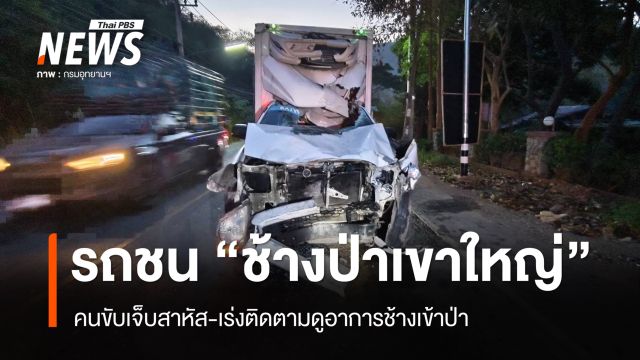 รถชน "ช้างป่าเขาใหญ่" คนขับเจ็บสาหัส-เร่งติดตามดูอาการช้างเข้าป่า