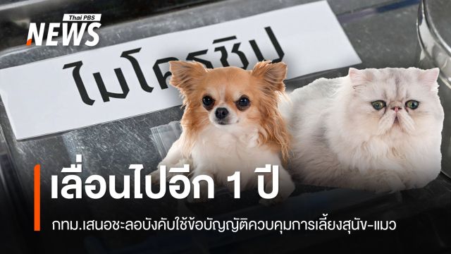 กทม.เสนอชะลอบังคับใช้ข้อบัญญัติควบคุมการเลี้ยงสุนัขและแมว 1 ปี 