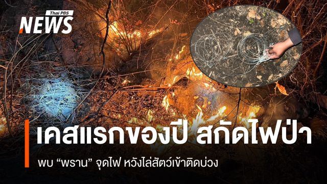 เคสแรกของปี สกัดไฟป่า พบพรานจุดไฟหวังไล่สัตว์เข้าติดบ่วง