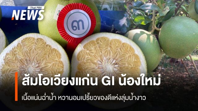 ส้มโอเวียงแก่น GI น้องใหม่  เนื้อแน่นฉ่ำน้ำ หวานอมเปรี้ยว