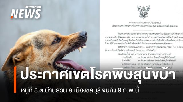 ประกาศเขตโรคพิษสุนัขบ้าพื้นที่หมู่ที่ 8 ต.บ้านสวน ชลบุรี