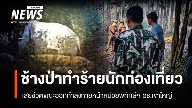 ช้างป่าเขาใหญ่ทำร้าย "นักท่องเที่ยว" เสียชีวิต 
