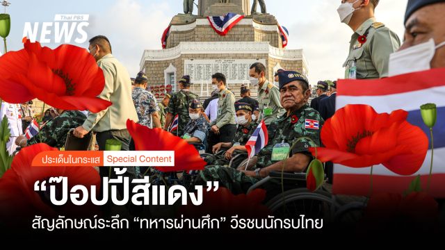 “ป๊อปปี้สีแดง” สัญลักษณ์ระลึก “ทหารผ่านศึก” วีรชนนักรบไทย