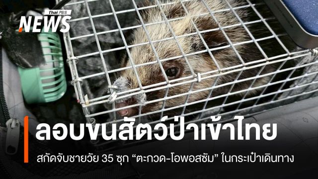 สกัดจับชายวัย 35 ปี ลอบขน "ตะกวด-โอพอสซัม" คาสนามบินสุวรรณภูมิ