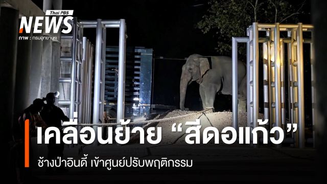 กรมอุทยานฯ เคลื่อนย้าย "สีดอแก้ว" ช้างป่าอินดี้ เข้าศูนย์ปรับพฤติกรรม