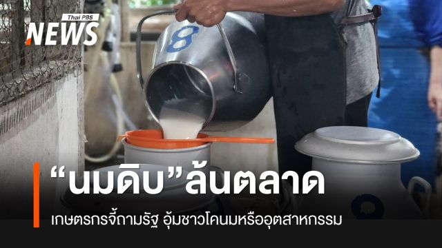 เกษตรกรแย้งเอกชน นมดิบล้นตลาดเพราะนมผง จี้ถามรัฐ อุ้มชาวโคนม หรืออุตสาหกรรม