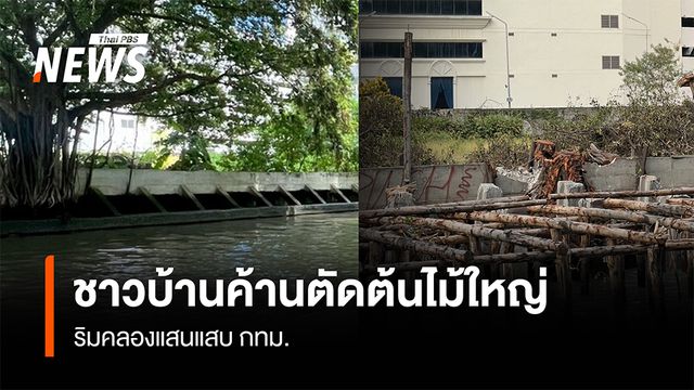 ชาวบ้านค้านตัดต้นไม้ใหญ่ ริมคลองแสนแสบ กทม.