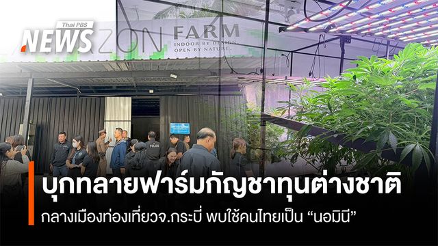 บุกทลายฟาร์มกัญชาทุนต่างชาติ  กลางเมืองท่องเที่ยวจ.กระบี่ พบใช้คนไทยเป็น “นอมินี”