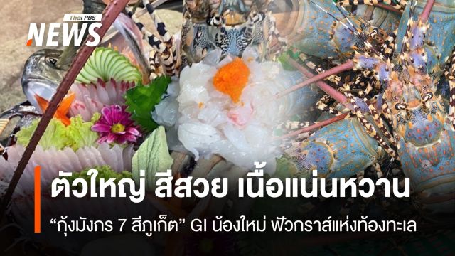 ตัวใหญ่ สีสวย เนื้อแน่นหวาน  “กุ้งมังกร 7 สีภูเก็ต” GI น้องใหม่ ฟัวกราส์แห่งท้องทะเล