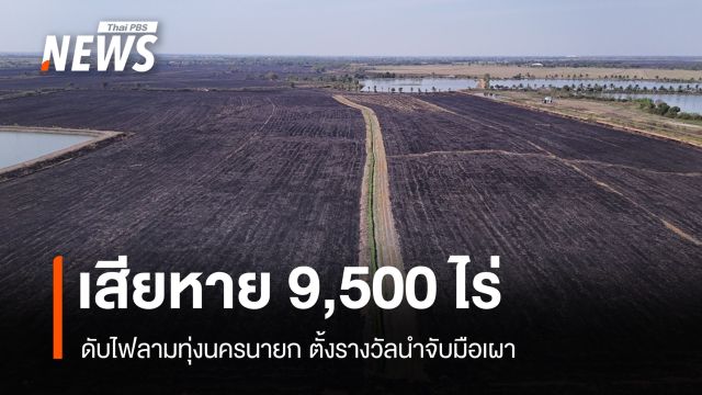 ดับแล้ว! ไฟลามทุ่งนครนายกเสียหาย 9,500 ไร่ ตั้งรางวัลนำจับมือเผา