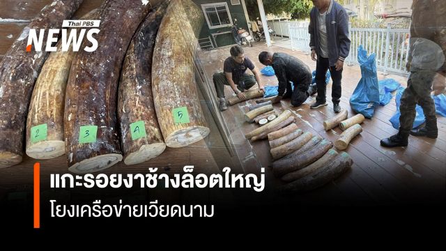 แกะรอย "งาช้าง" ล็อตใหญ่ โยงเครือข่ายเวียดนาม