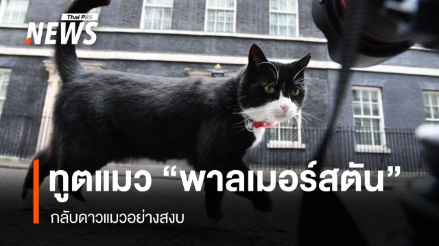 ทูตแมว "พาลเมอร์สตัน" กลับดาวแมวอย่างสงบ