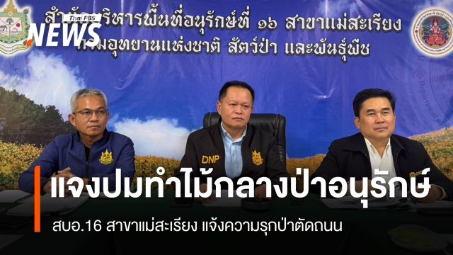 สบอ.16 สาขาแม่สะเรียง แถลงชี้แจงปม "ทำไม้" กลางป่าอนุรักษ์