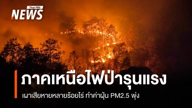 ภาคเหนือไฟป่ารุนแรง เผาเสียหายหลายร้อยไร่ ทำค่าฝุ่น PM2.5 พุ่ง