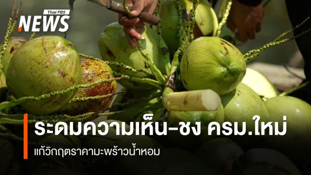 ระดมความเห็น-ชง ครม.ใหม่ แก้วิกฤตราคามะพร้าวน้ำหอม