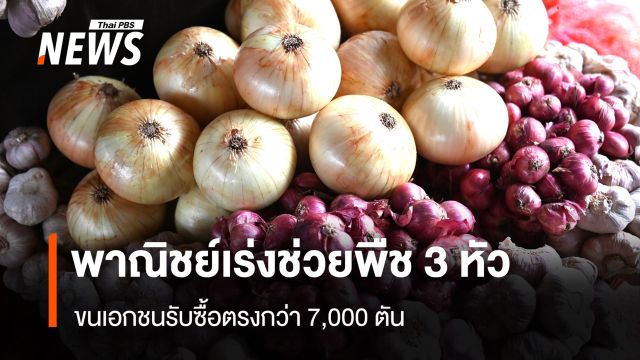 พาณิชย์เร่งช่วยพืช 3 หัว  ขนเอกชนรับซื้อตรงกว่า 7,000 ตัน