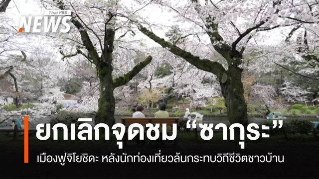 ญี่ปุ่นยกเลิกจุดชม "ซากุระ" เมืองฟูจิโยชิดะ หลังนักท่องเที่ยวล้นกระทบชาวบ้าน