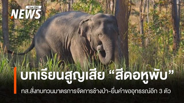 รมว.ทส.สั่งทบทวนมาตรการจัดการช้างป่า หลังสูญเสีย “สีดอหูพับ” ระหว่างเคลื่อนย้าย