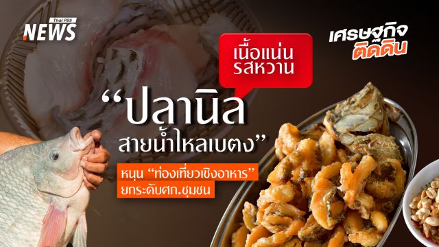 เนื้อแน่น รสหวาน “ปลานิลสายน้ำไหลเบตง”  หนุน “ท่องเที่ยวเชิงอาหาร” ยกระดับศก.ชุมชน