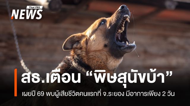 สธ.เตือนอันตราย "โรคพิษสุนัขบ้า" ปี 69 พบผู้เสียชีวิตคนแรกที่ระยอง