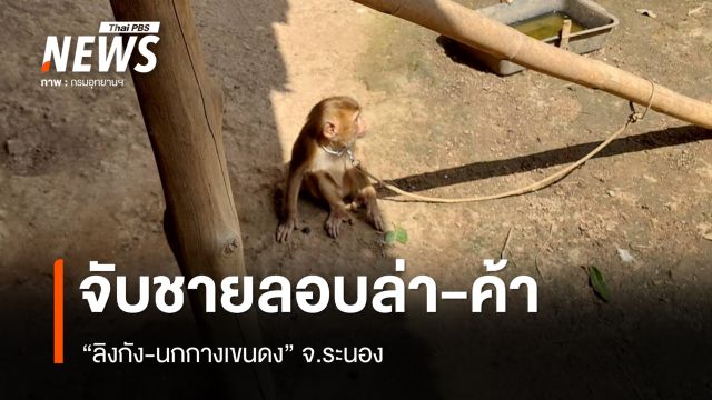จับชายลอบล่า-ค้า "ลิงกัง-นกกางเขนดง" จ.ระนอง