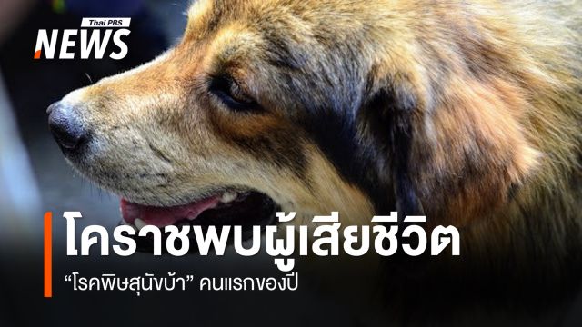  โคราชพบผู้เสียชีวิต "โรคพิษสุนัขบ้า"คนแรกของปี สสจ.เฝ้าระวัง-คุมเข้มพื้นที่เสี่ยง