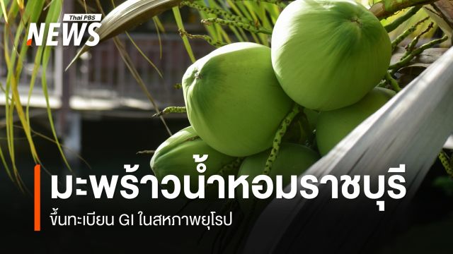 "มะพร้าวน้ำหอมราชบุรี" ขึ้นทะเบียน GI ในสหภาพยุโรปแล้ว 