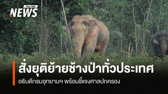   อธิบดีกรมอุทยานฯ สั่งยุติการย้ายช้างป่าทั่วประเทศ พร้อมชี้แจงศาลปกครอง