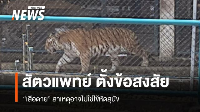 สัตวแพทย์ตั้งข้อสังเกต "เสือตาย 72 ตัว" ที่เชียงใหม่ สาเหตุอาจไม่ใช่มาจาก "ไข้หัดสุนัข"
