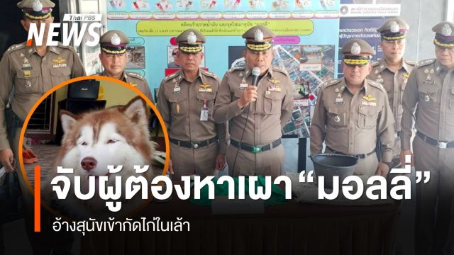 จับแล้วผู้ต้องหาทำร้าย "มอลลี่" อ้างสุนัขไปกัดไก่ในเล้า ตร.ฟัน 2 ข้อหา