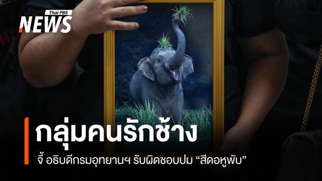 กลุ่มคนรักช้าง จี้ อธิบดีกรมอุทยานฯ รับผิดชอบปม "สีดอหูพับ"