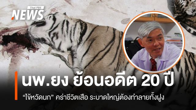 นพ.ยง ย้อนอดีต 20 ปีประเทศไทย "ไข้หวัดนก" ระบาดจากเสือสู่เสือ